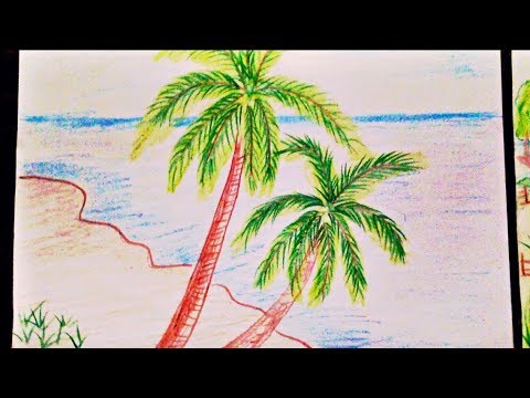 480x360 how to draw coconut tree drawing easy for kids full coconut - Coconut Tree Drawing