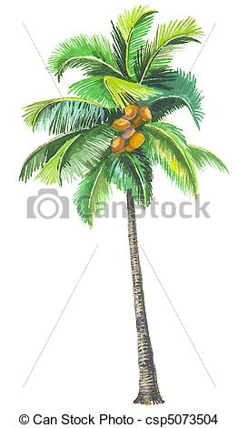 262x470 Huge Collection Of 'coconut Tree Pictures Drawing' Download More - Coconut Tree Drawing
