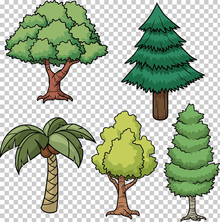 728x733 Tree Drawing Cartoon Pine, Painted Green Tree Coconut Tree Pattern - Coconut Tree Drawing