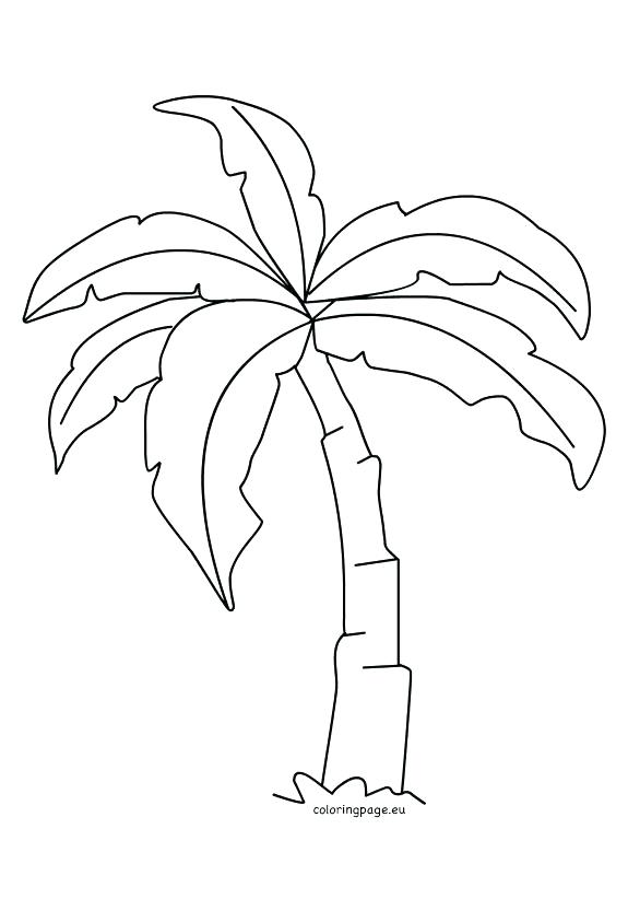 Coconut Tree Line Drawing at PaintingValley.com | Explore collection of ...