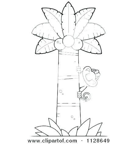 450x470 Coconut Tree Coloring - Coconut Tree Line Drawing