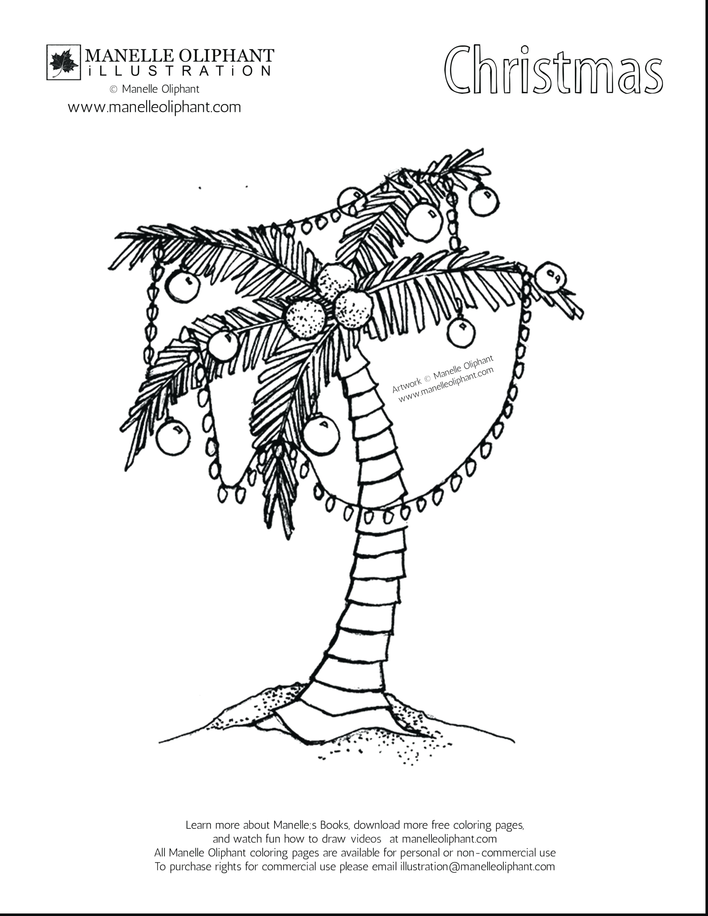 2805x3630 Coconut Tree Drawing Png - Coconut Tree Line Drawing
