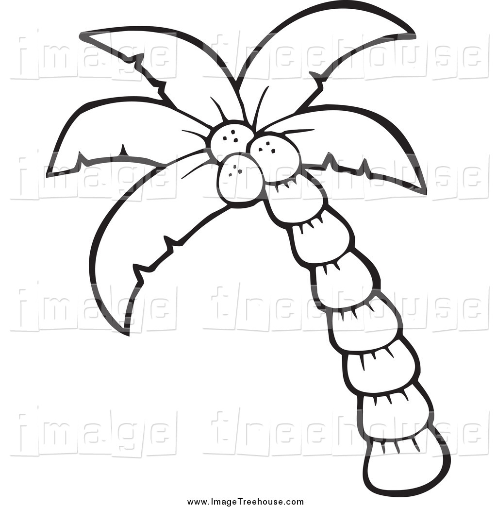 1024x1044 Coconut Clip Art Black And White Clipart Collection - Coconut Tree Line Drawing