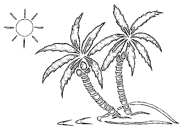 650x448 Coconut Tree - Coconut Tree Line Drawing