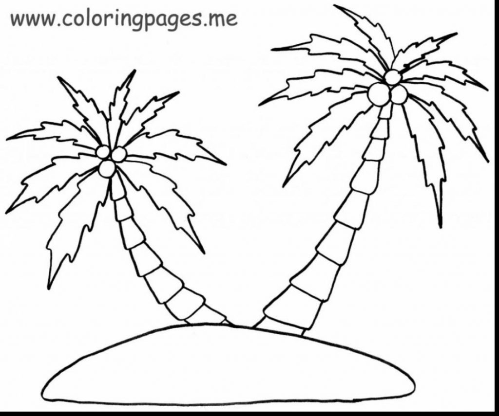 1024x855 Coloring Pages Coconut Tree Coloring Pagescoconut Preschool - Coconut Tree Line Drawing