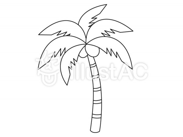 600x450 Palm Tree Line Drawing - Coconut Tree Line Drawing