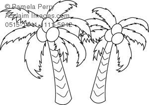 300x211 Coconut Tree Coloring Terrific Clip Art Image Of A Palm Trees - Coconut Tree Line Drawing