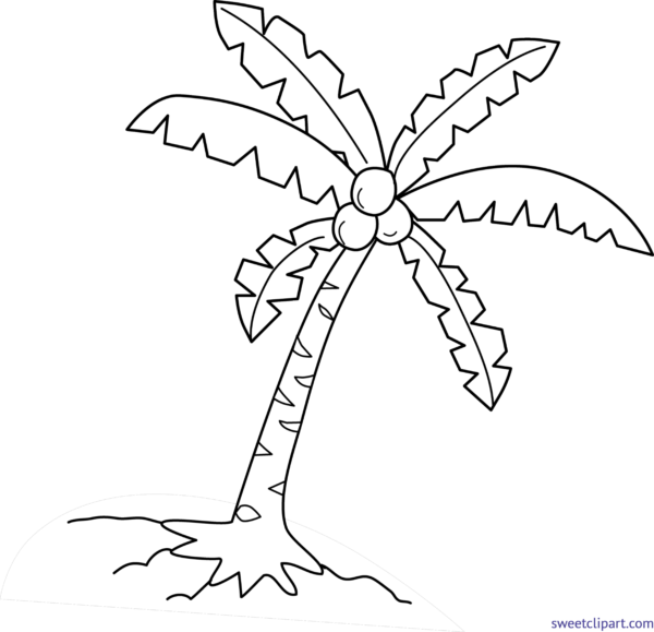 Download Coconut Tree Drawing Png Png Gif Base