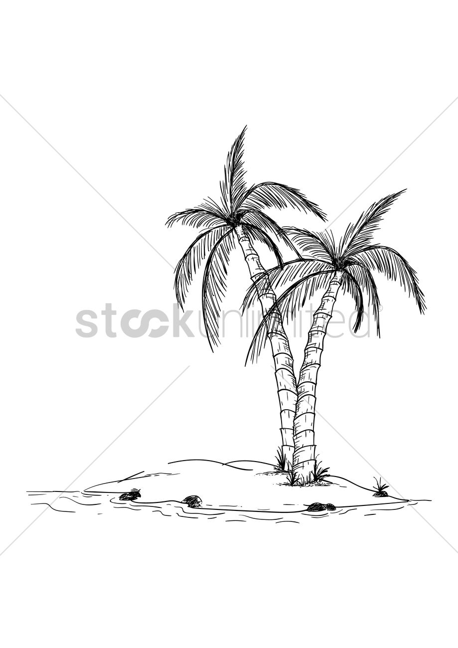 919x1300 coconut trees in an island vector image - Coconut Tree Pictures Drawing