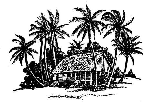 498x352 hand drawing coconut tree and house vector free vector in vector - Coconut Tree Pictures Drawing