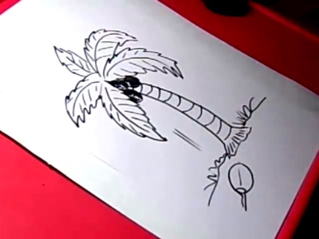 640x480 how to coconut tree drawing for kids step - Coconut Tree Pictures Drawing