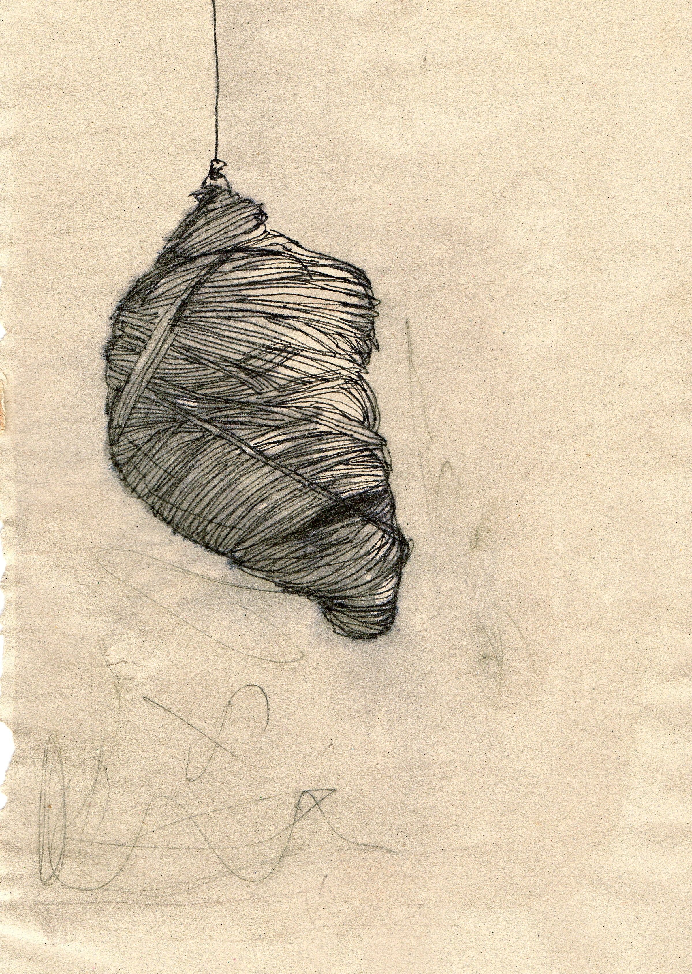 Cocoon Drawing at Explore collection of Cocoon Drawing