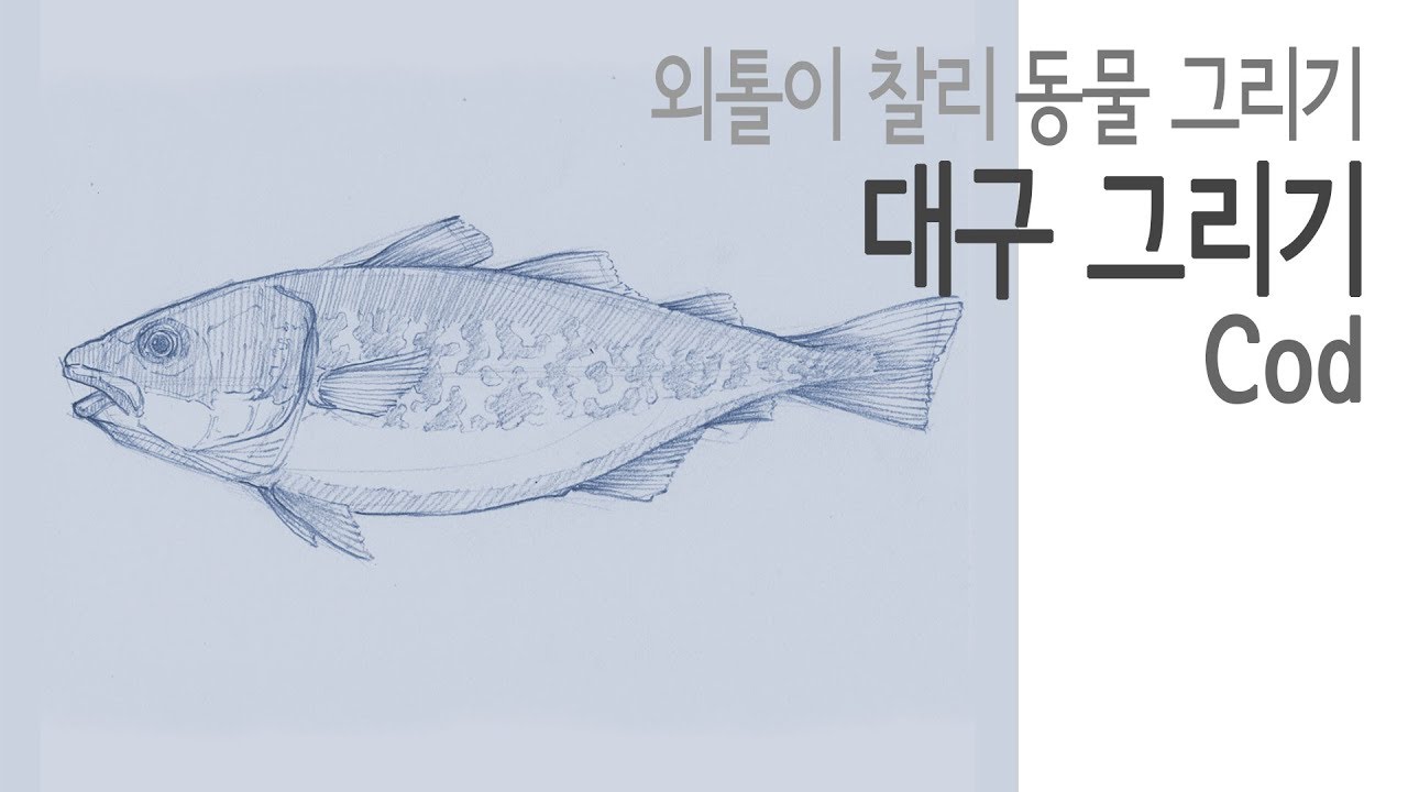 1280x720 Animal Drawing - Cod Drawing