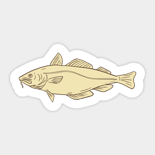 630x630 Atlantic Cod Fish Drawing - Cod Drawing