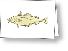 226x170 Atlantic Cod Fish Drawing Digital Art - Cod Drawing