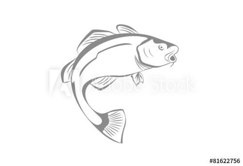 500x341 Cod Fish - Cod Fish Drawing