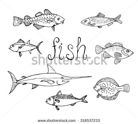 450x403 set of different sea fish herring, cod, perch, flounder, mackerel - Cod Fish Drawing