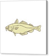 163x186 Atlantic Cod Fish Drawing Digital Art - Cod Fish Drawing