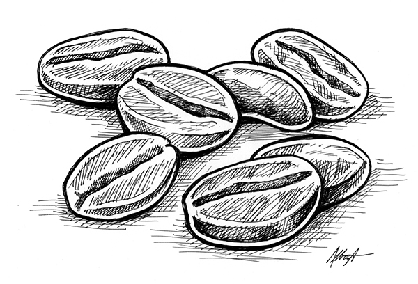 600x408 Coffee Beans - Coffee Bean Drawing