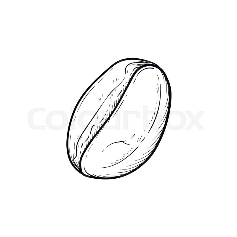 800x800 Coffee Bean Hand Drawn Outline Doodle Stock Vector Colourbox - Coffee Bean Drawing