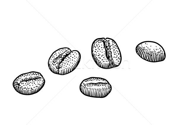 600x424 Coffee Bean Illustration, Drawing, Engraving, Ink, Line Art - Coffee Bean Drawing