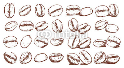 400x221 Coffee Beans, Sketch, Vector Drawing Set, Ingredient, Doodle - Coffee Bean Drawing