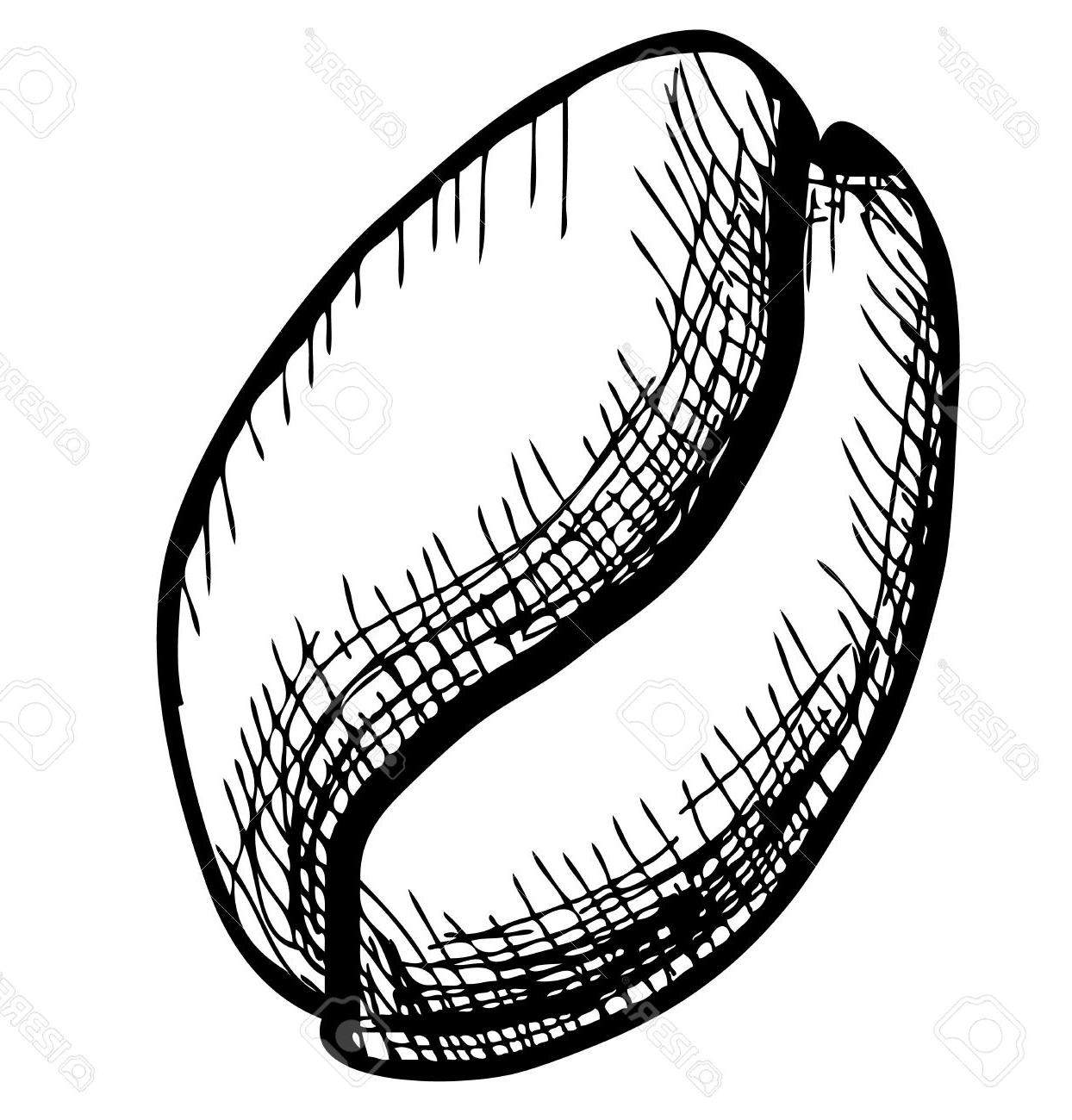 Coffee Bean Drawing at Explore collection of Coffee Bean Drawing