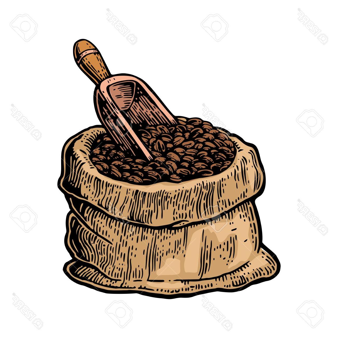 1300x1300 Best Free Coffee Beans Drawing Images - Coffee Bean Drawing