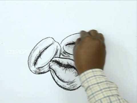 480x360 How To Draw A Coffee Bean - Coffee Bean Drawing