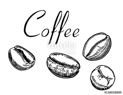 Coffee Bean Drawing at PaintingValley.com | Explore collection of ...