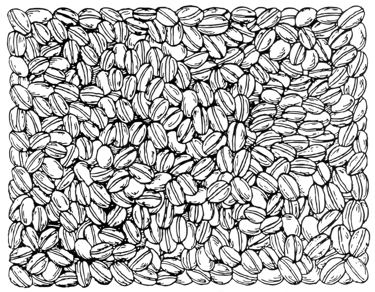 Coffee Bean Drawing at Explore collection of