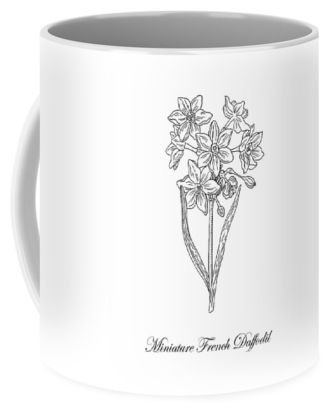 479x600 Miniature Daffodil Botanical Drawing Black And White Coffee Mug - Coffee Mug Drawing