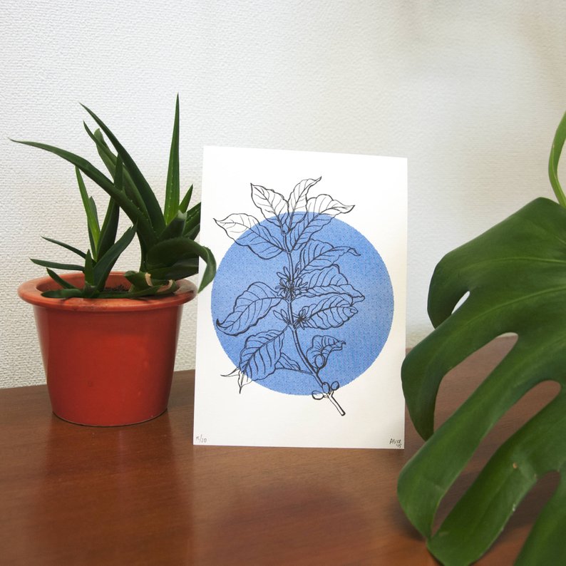 794x794 Riso Print Of A Coffee Plant Drawing Risograph Art Gift For Etsy - Coffee Plant Drawing