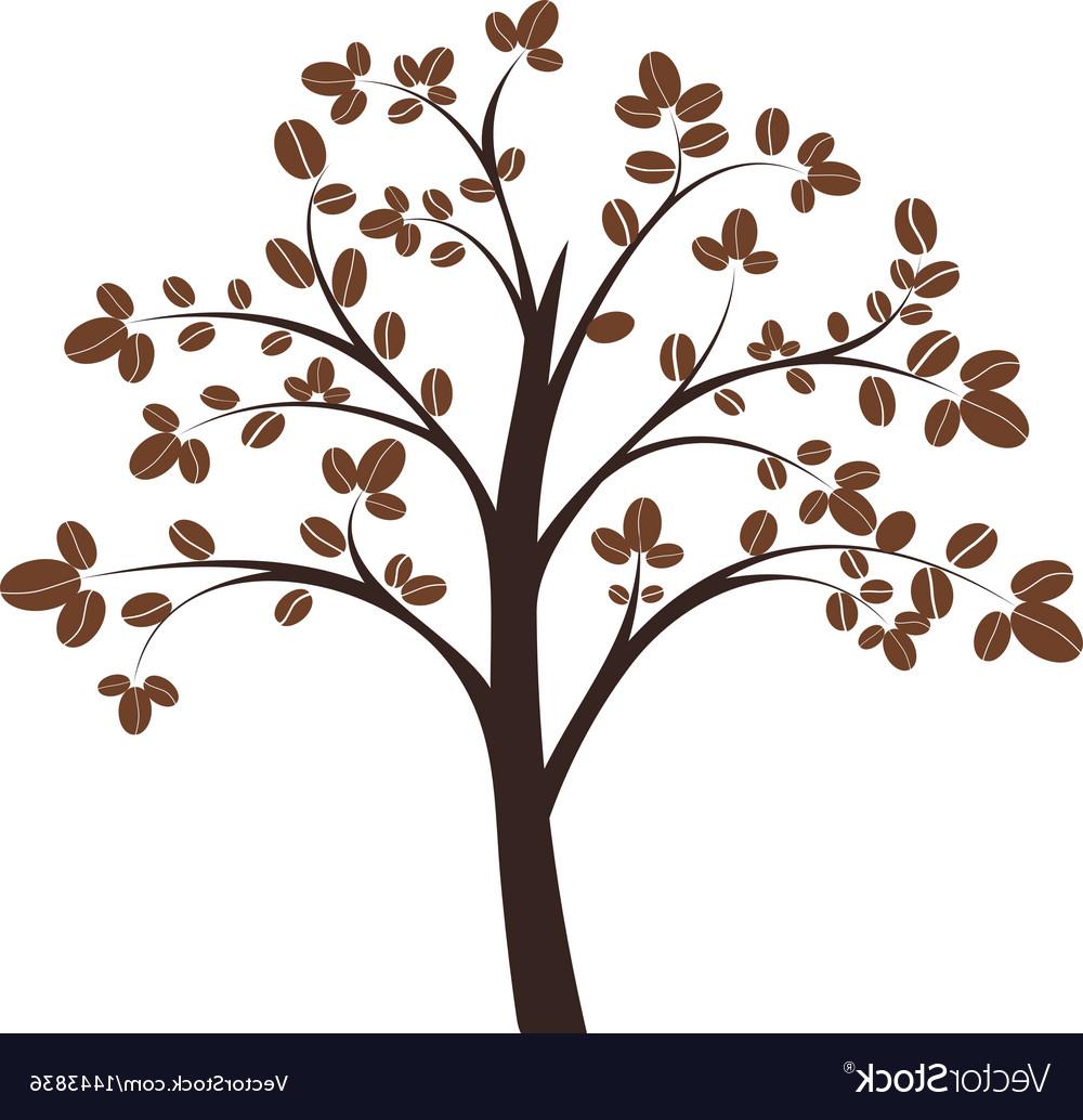 1000x1034 Best Hd Coffee Tree Vector Drawing - Coffee Plant Drawing