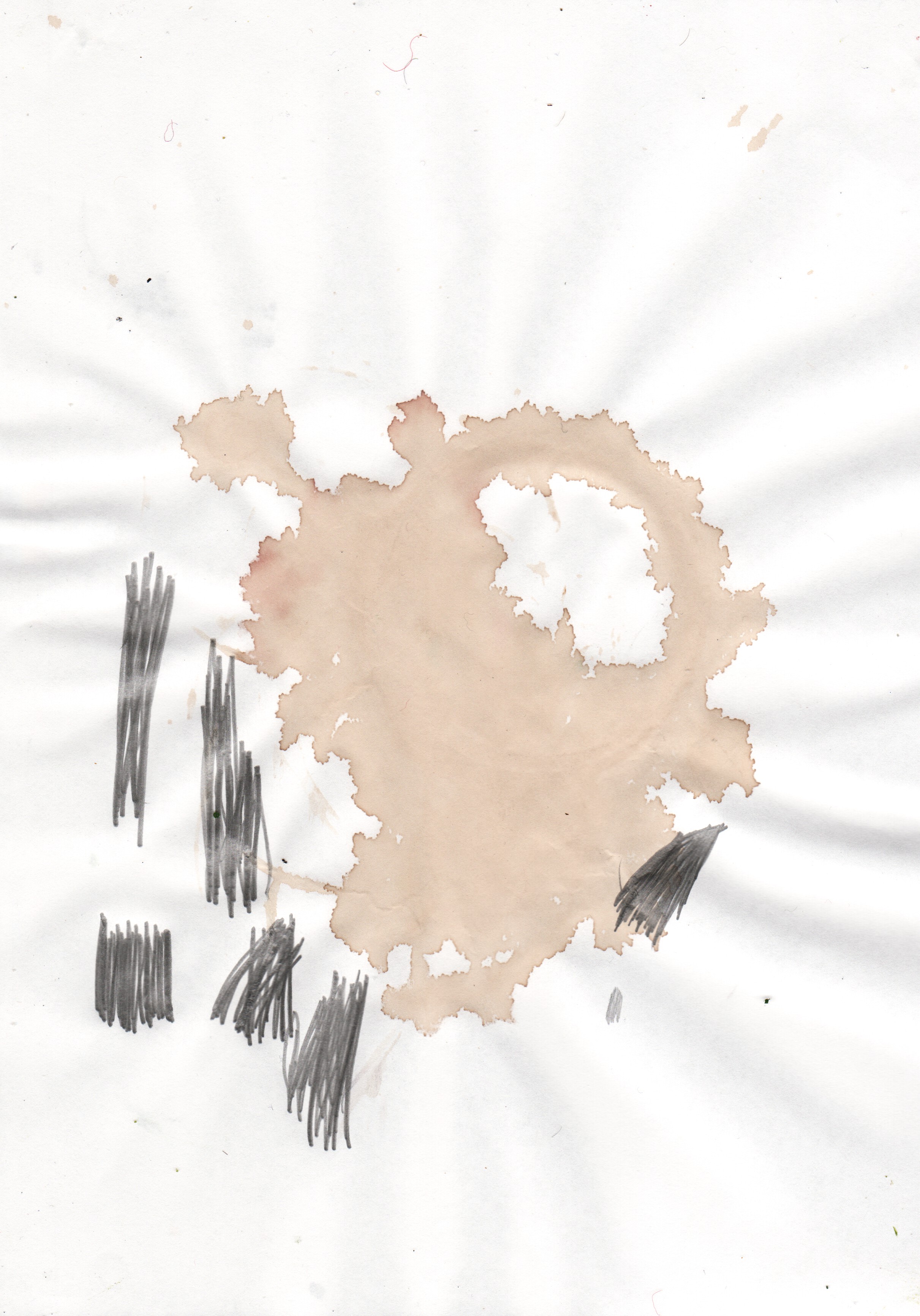 2422x3467 mark buckeridge coffee stain and pencil - Coffee Stain Drawing