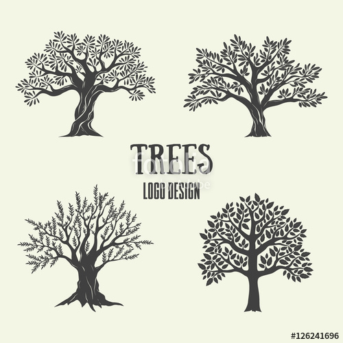 500x500 Creative Olive, Argan And Coffee Trees Silhouette Vector - Coffee Tree Drawing