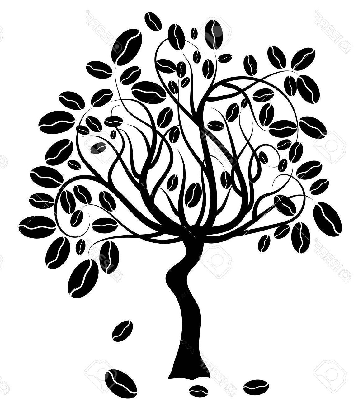 1166x1300 best coffee tree vector illustration cdr - Coffee Tree Drawing