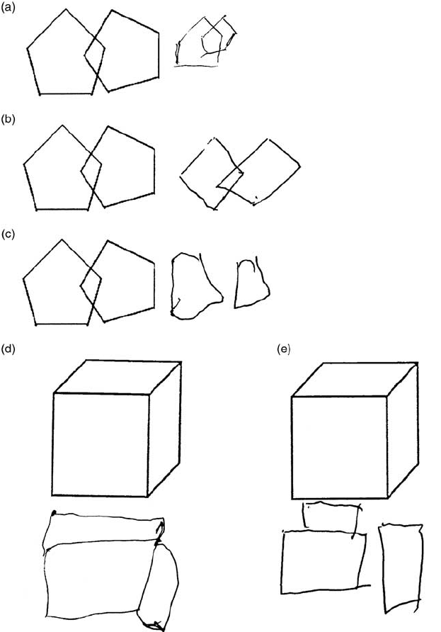 623x892 Examples Of Interlocking Pentagons Drawing And Adas Cog - Cog Drawing