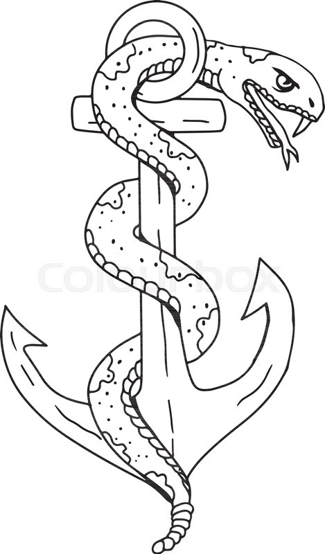 469x800 Drawing Sketch Style Illustration Of Stock Vector Colourbox - Coiled Rattlesnake Drawing