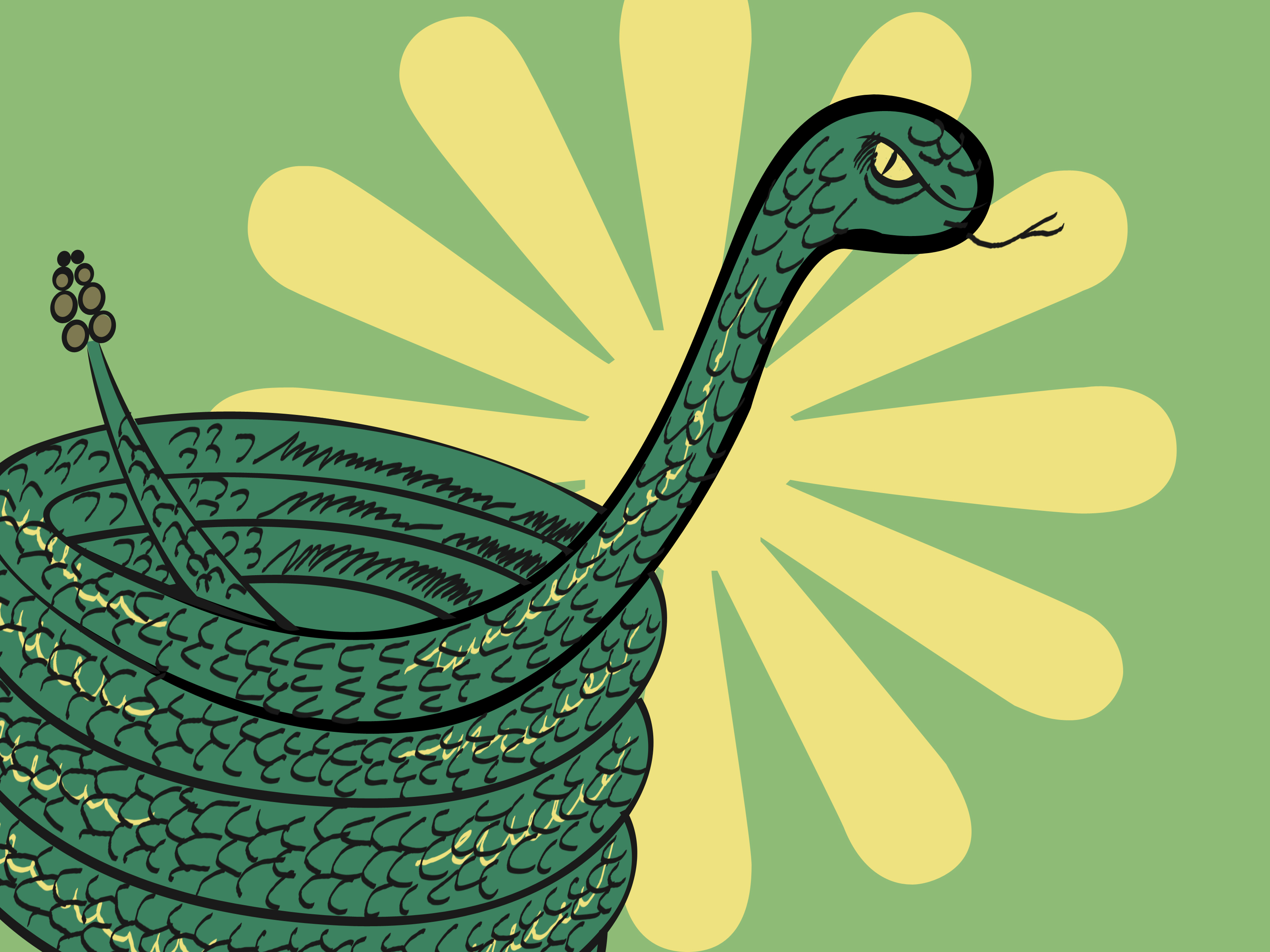 3200x2400 How To Draw A Coiled Snake Steps - Coiled Rattlesnake Drawing