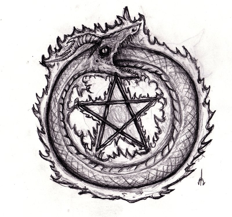 800x749 Huge Collection Of 'coiled Snake Drawing' Download More Than - Coiled Rattlesnake Drawing