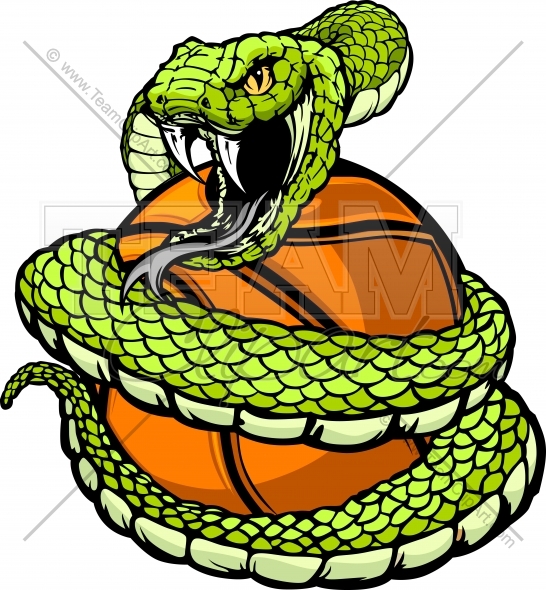 546x590 Rattlesnake Clipart Snake Drawing - Coiled Rattlesnake Drawing