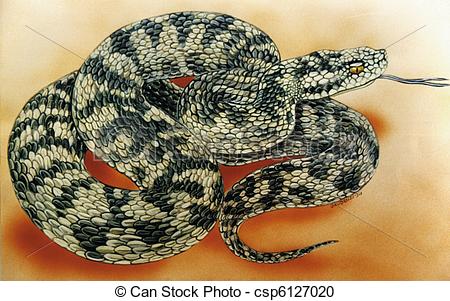 450x301 Snake, Coiled, Poisonous - Coiled Rattlesnake Drawing