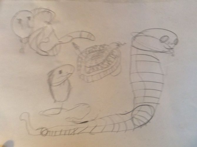 670x503 How To Draw A Coiled Snake Steps - Coiled Snake Drawing