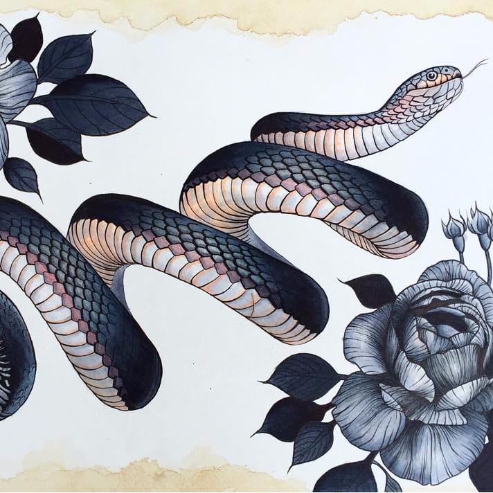 Coiled Snake Drawing at Explore collection of
