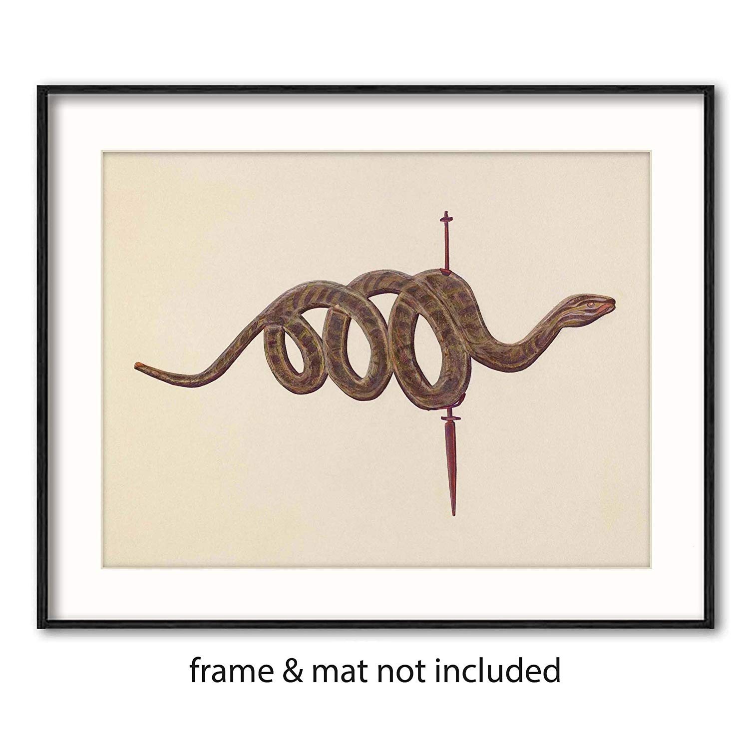 1500x1500 Snake Wall Decor - Coiled Snake Drawing