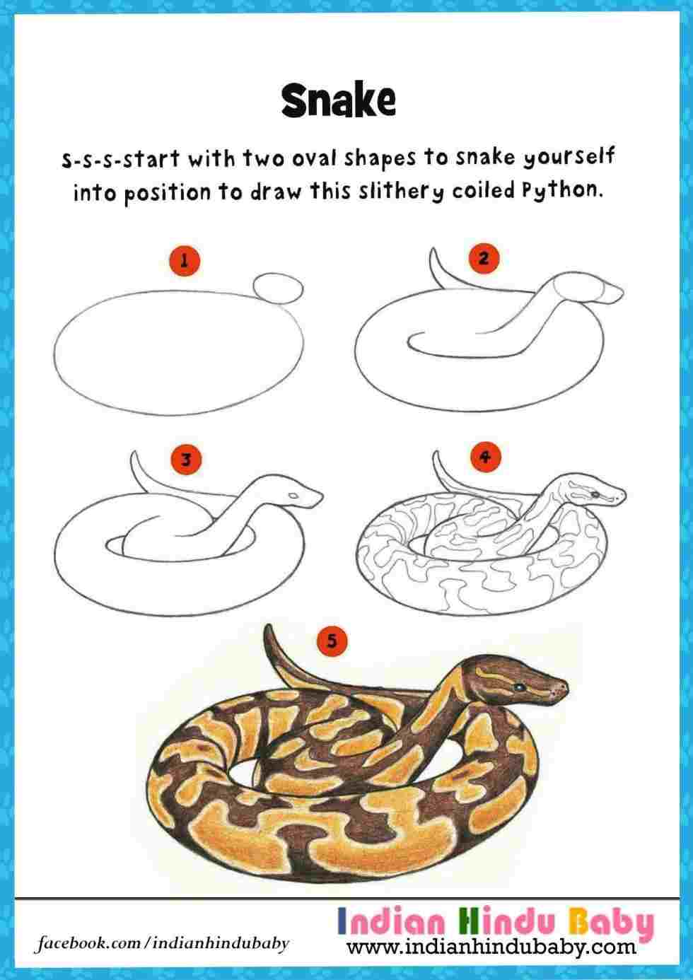 Coiled Snake Drawing At PaintingValley Com Explore Collection Of   Coiled Snake Drawing 34 