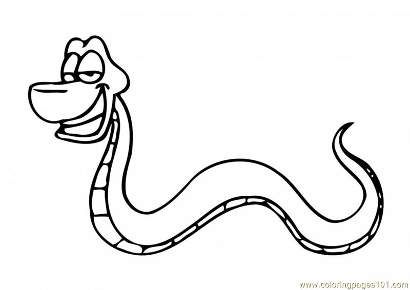 800x566 Coiled Snake Drawing - Coiled Snake Drawing