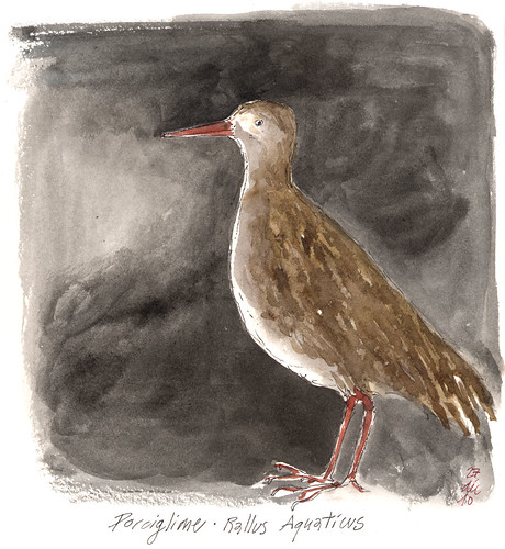 460x500 cold weather, drawing inside urban sketchers - Cold Weather Drawing