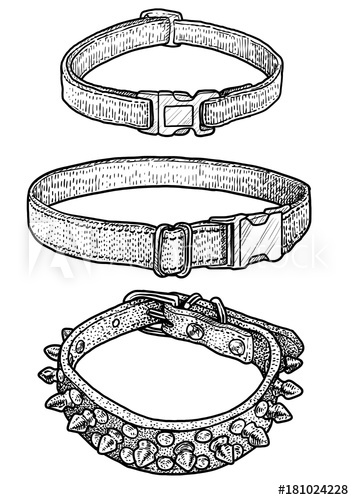354x500 dog, cat collar illustration, drawing, engraving, ink, line art - Collar Drawing